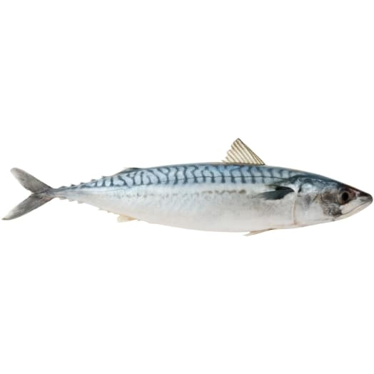 FRISCO FISH Makrela patroszona (245g-455g)