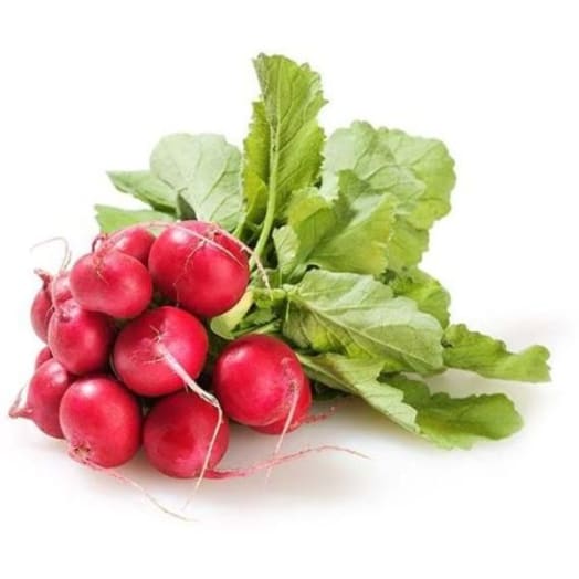 FRISCO FRESH Rzodkiewka pęczek